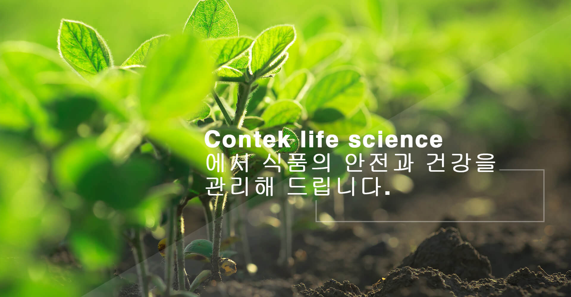 Contek Life banner
